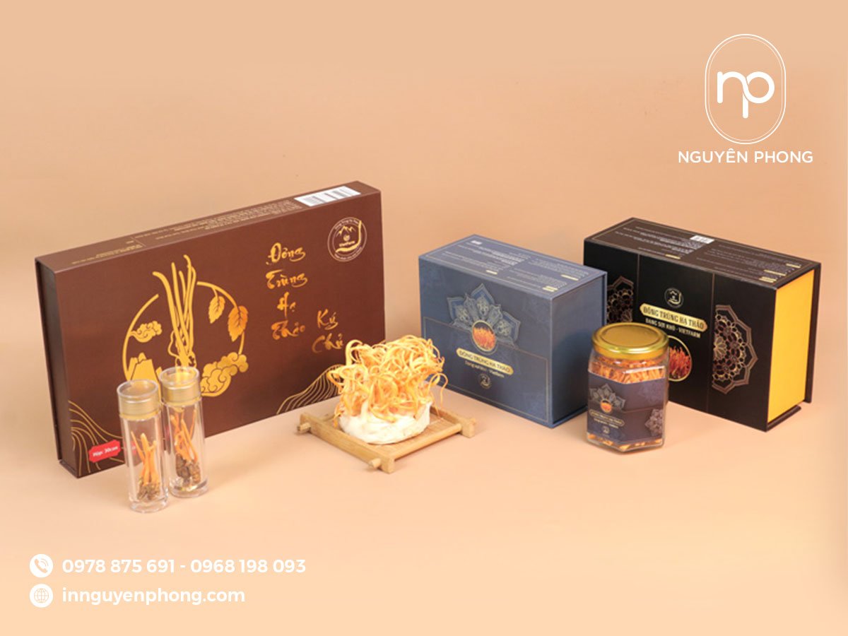 Hộp đựng đông trùng hạ thảo cao cấp